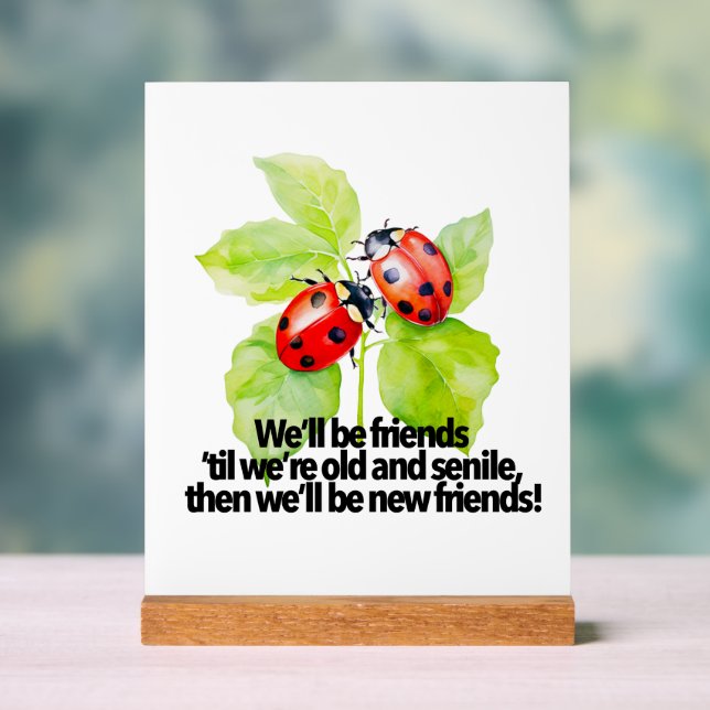 Señal Acrílica Ladybugs friendship quote funny Anniversary BFF (Neutral )