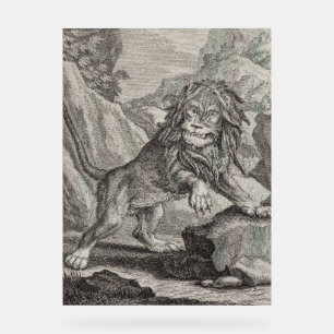 Señal Acrílica León macho en el Parque Nacional Serengeti, Tanzan
