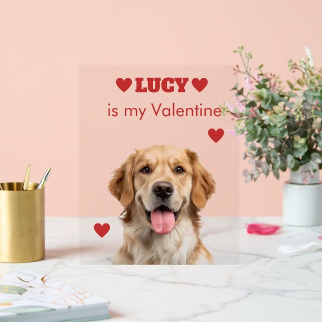 Señal Acrílica Letrero Acrílico de Foto de Perro Personalizado (Boda)