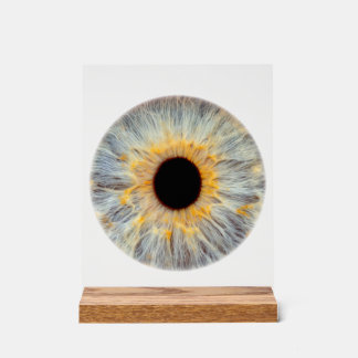 Señal Acrílica Letrero Acrílico de Ojo