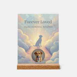 Señal Acrílica Letrero Acrílico Memorial Personalizado para Labra