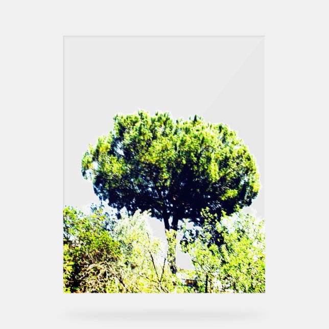 Señal Acrílica Letrero de Acrílico (Anverso)