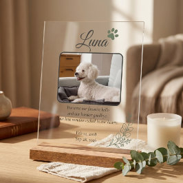 Señal Acrílica Letrero de Foto de Recuerdo de Mascota Personaliza
