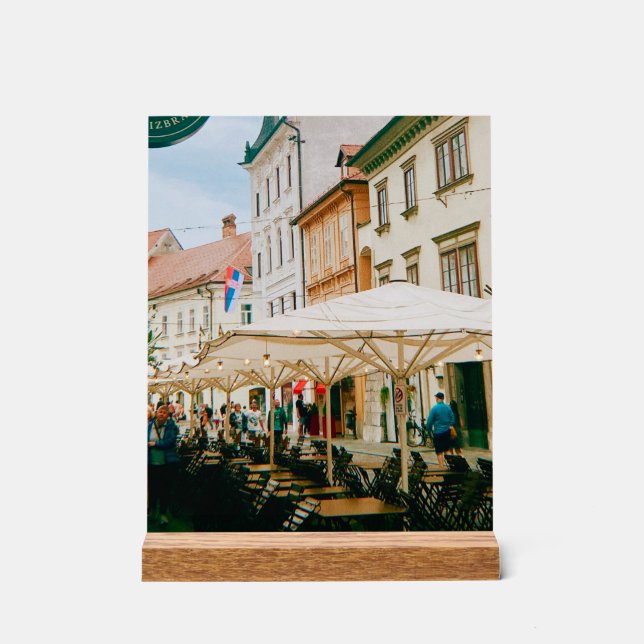 Señal Acrílica Ljubljana Cityscape (Anverso)
