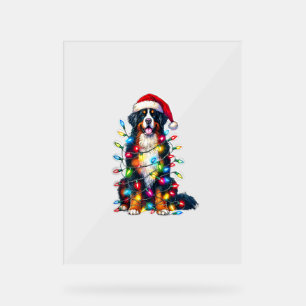 Señal Acrílica Luces de Navidades de Bernese Mountain Dog