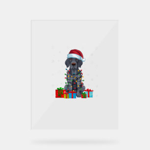 Señal Acrílica Luces navideñas Santa German Shorthal Dog C
