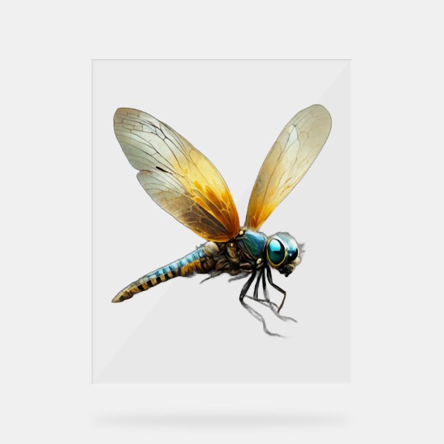 Señal Acrílica Lucky Dragonfly (Anverso)