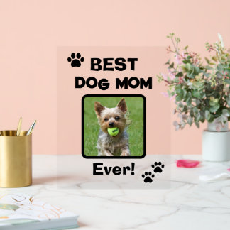 Señal Acrílica Mamá de perro y gato más linda personalizada