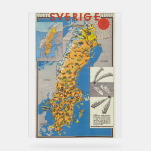 Señal Acrílica Mapa de Suecia