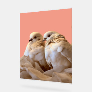 Señal Acrílica marco