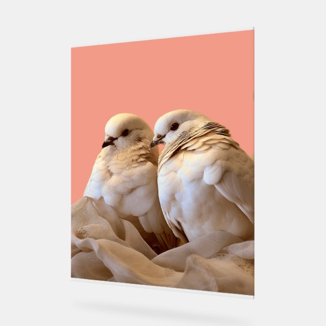 Señal Acrílica marco (Ángulo)