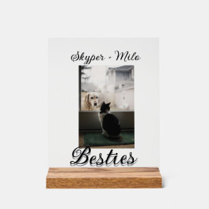 Señal Acrílica Mascotas amigos bestias agregar nombre mascota fot