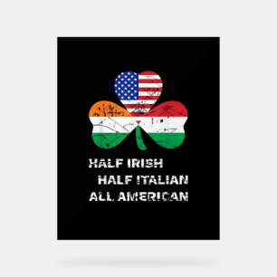 Señal Acrílica Medio Irlandés Medio Italiano Toda Bandera America