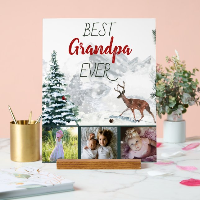 Señal Acrílica Mejor Abuelo Rústico de Invierno de la Historia 3  (Boda)