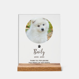 Señal Acrílica Memoria del mascota fotográfico del personalizado