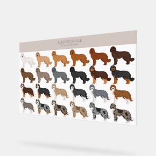 Señal Acrílica Mezcla de perro Aussiedoodle