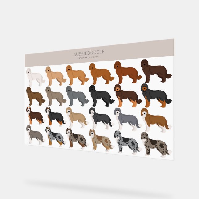 Señal Acrílica Mezcla de perro Aussiedoodle (Ángulo)