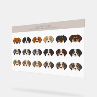 Señal Acrílica Mezcla de perro de Aussalier