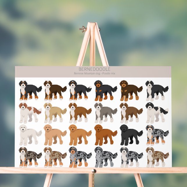 Señal Acrílica Mezcla de perros Bernedoodle (Neutral )