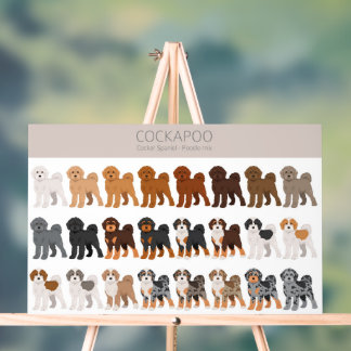 Señal Acrílica Mezcla de perros Cockapoo