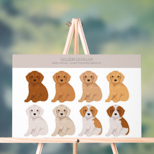 Señal Acrílica Mezcla de perros de Golden Cavalier