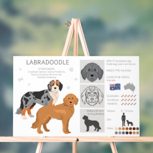 Señal Acrílica Mezcla de perros Labradoodle