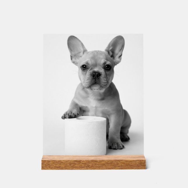 Señal Acrílica Minimalist Funny French Bulldog Guards ToiletPaper (Anverso)