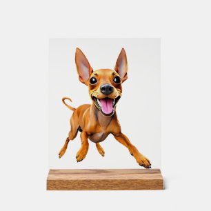 Señal Acrílica Minpin pinscher miniatura min pin mamá perro papá 