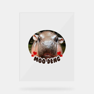 SEÑAL ACRÍLICA MOO-DENG EL FAMOSO BEBÉ PIGMY HIPPO MOODENG - APAG