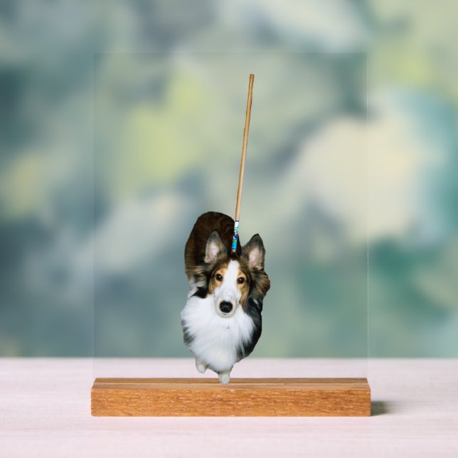 Señal Acrílica Mop Dog (Neutral )