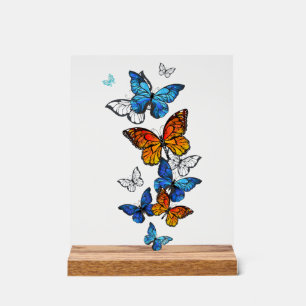 Señal Acrílica Morfo y monarca de las mariposas voladoras