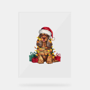 Señal Acrílica Navidad de perro español iluminando Santa Hat Cock
