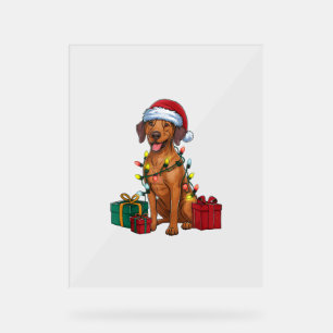 Señal Acrílica Navidad iluminando a Santa Rhodesian Ridgeback per