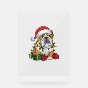Señal Acrílica Navidades del Bulldog inglés Xmas Lighting Santa H