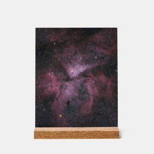 Señal Acrílica Nebulosa Carina