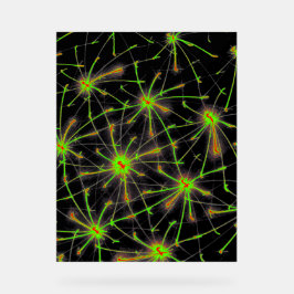 Señal Acrílica Neural Network Burst – Premium Acrylic Sign