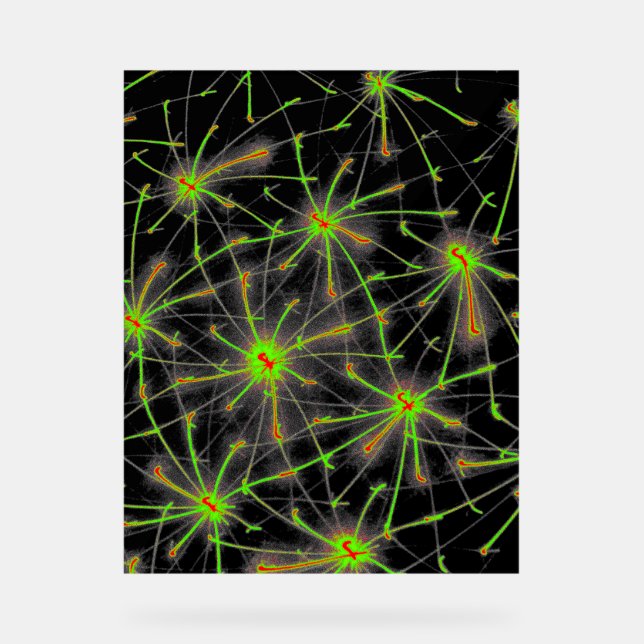 Señal Acrílica Neural Network Burst – Premium Acrylic Sign (Anverso)