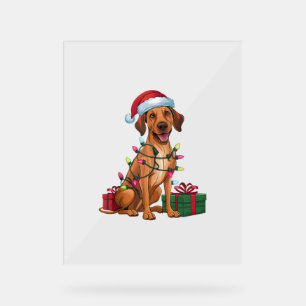 Señal Acrílica Noches iluminando Santa Hat Thai Ridgeback Dog Nav