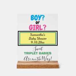 Señal Acrílica NOMBRE verde amarillo rosa azul de Baby Shower par