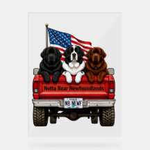 Notta Bear Newfoundlands – Pickup Patriótico