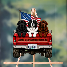 Señal Acrílica Notta Bear Newfoundlands – Pickup Patriótico