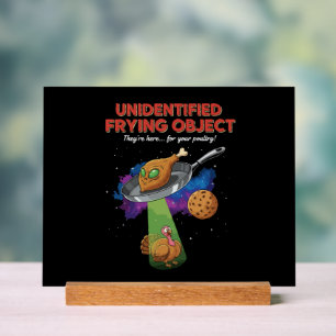 Señal Acrílica Objeto Frito No Identificado Alien UFO Pavo Divert