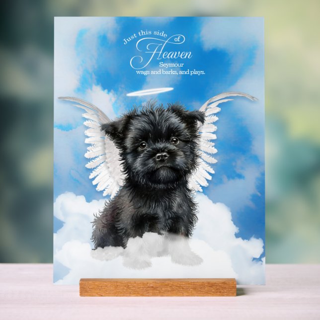 Señal Acrílica Perro Ángel Affenpinscher con nombre Mascota (Neutral )