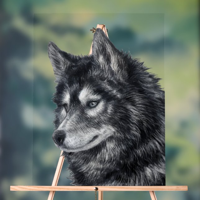 Señal Acrílica Perro Balto (Neutral )