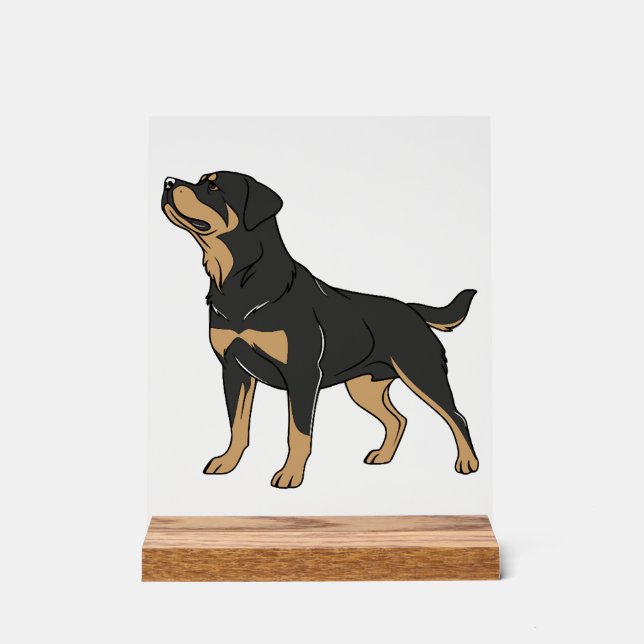 Señal Acrílica Perro Rottweiler, Perro Rottweiler de pie (Anverso)