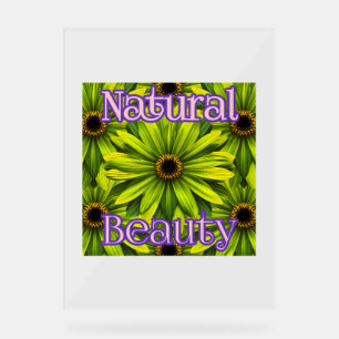 Señal Acrílica Personalizado Rótulo acrílico de 18" x 24"