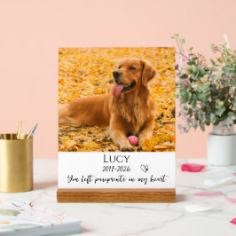 Señal Acrílica Photo Pet Memorial Dog Loss Keepsake Gift
