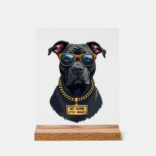 Señal Acrílica Pitbull Vintage Genial con Gafas de Sol y Cadena d