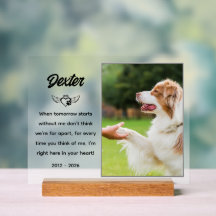 Plaque conmemorativo Mascota personalizado
