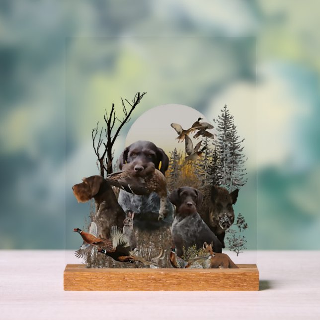 Señal Acrílica Pointer alemán de pelo duro, GWP (Neutral )